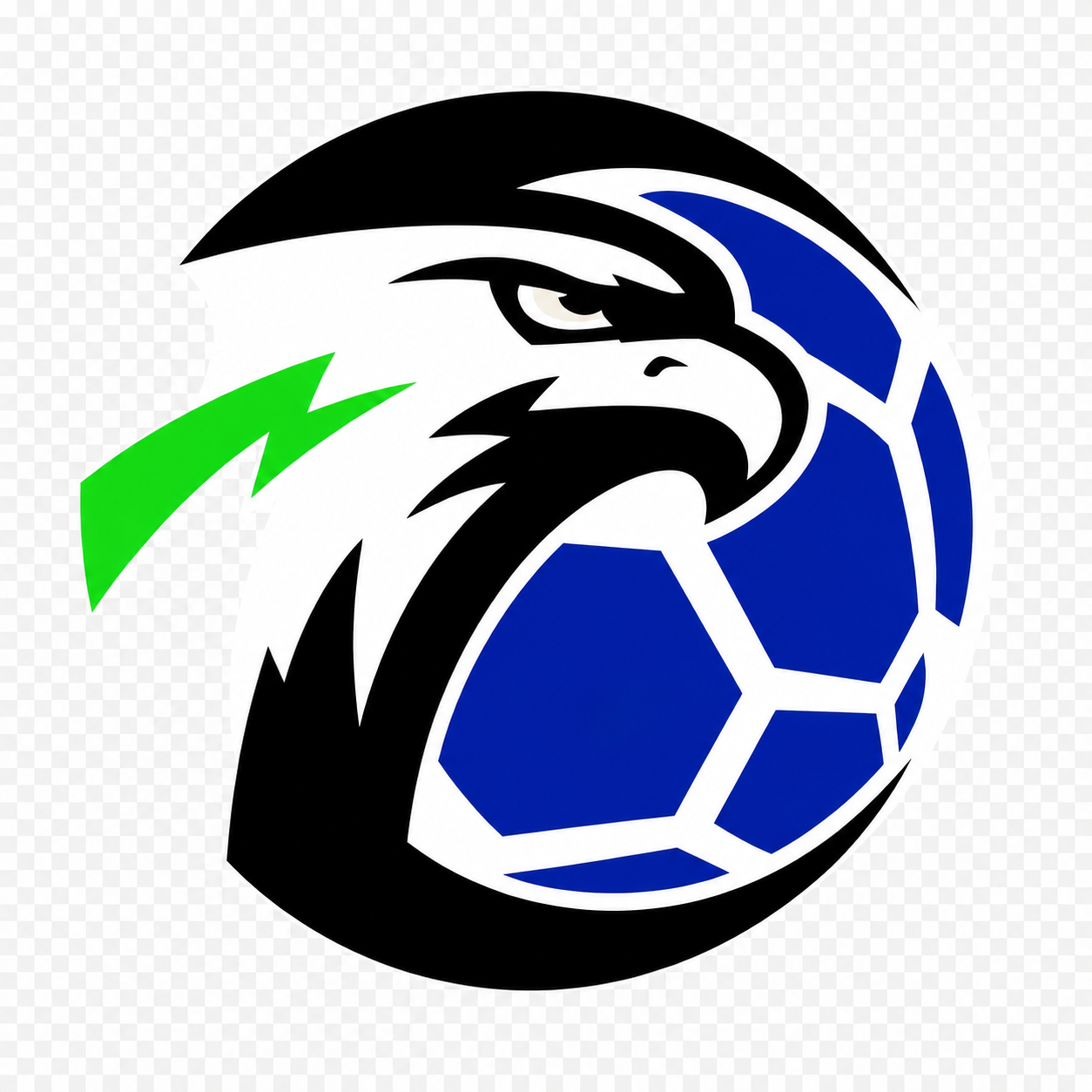 Escudo de Luke Falcons